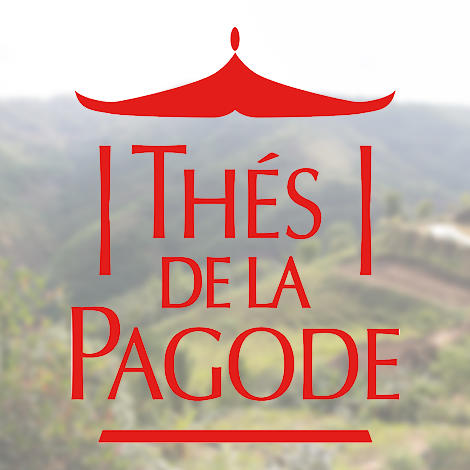 Thés de la Pagode, la science infusée de tradition Thés de la Pagode, la science infusée de tradition