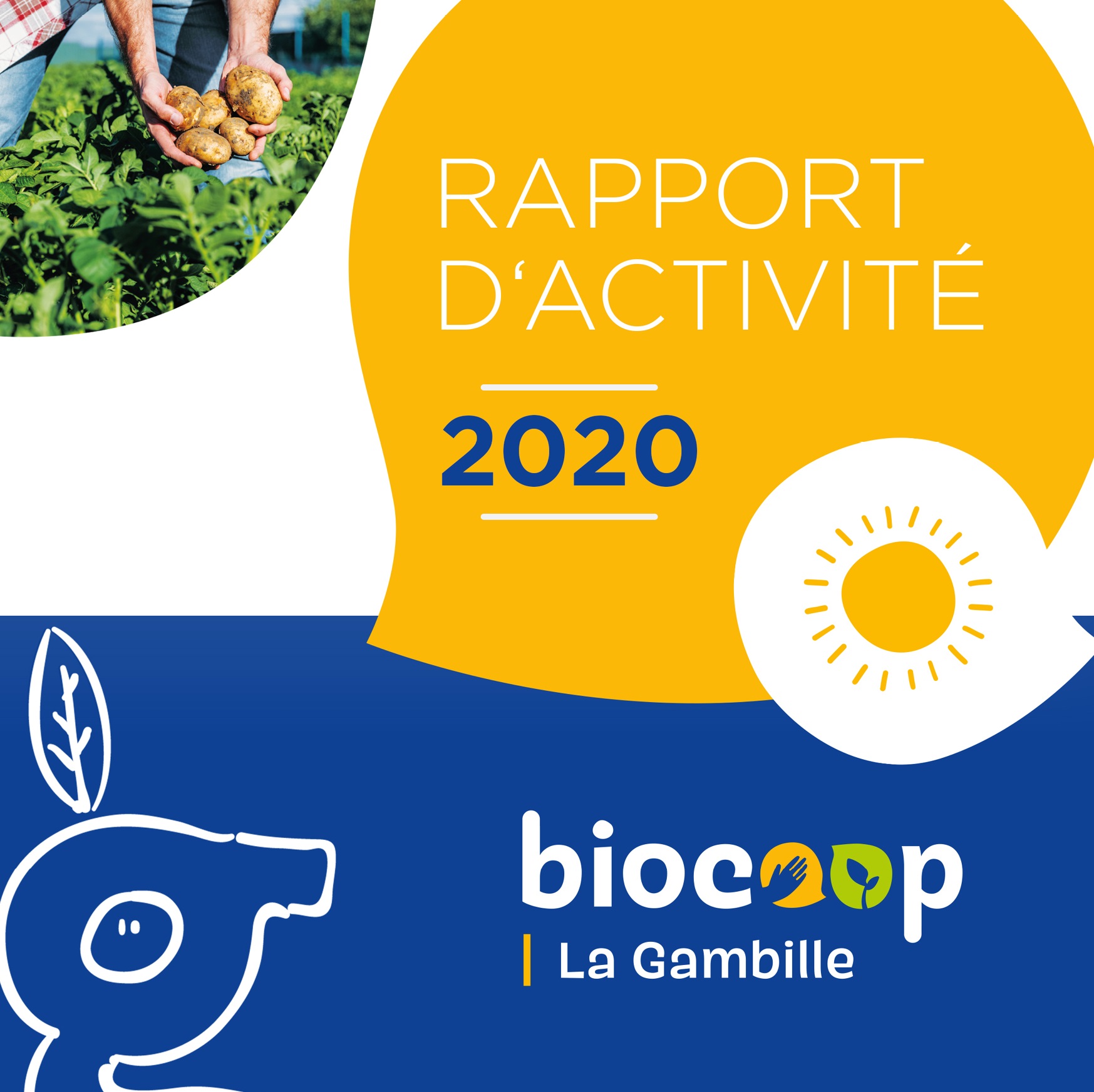 Rapport d'activité 2020 Rapport d'activité 2020